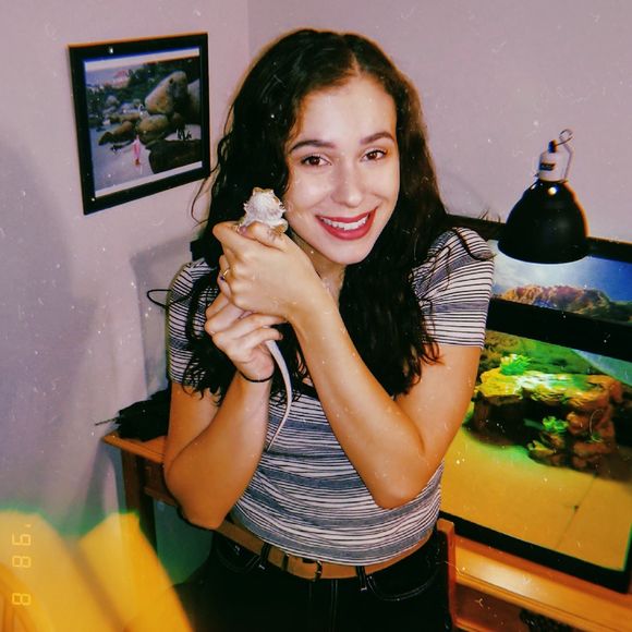 Meet your Posher, Georgie - Picture 1 of 1